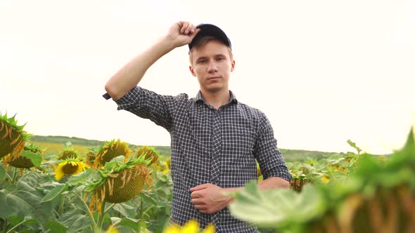 Young Farmer Puts His Cap on is in the Sunflower alt