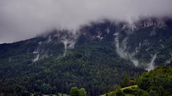 Envelopes form over the wild forest, rising water vapor from the forest alt