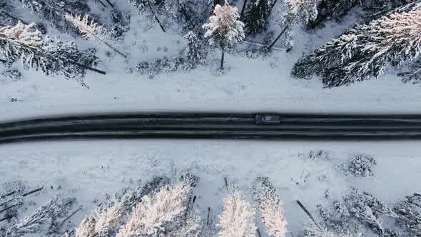 Automobile Drives Along Road Across Tranquil Winter Woods alt