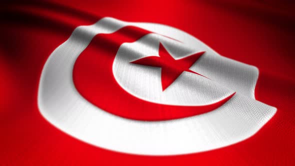 Tunisia Flag Seamless Loop alt