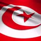 Tunisia Flag Seamless Loop - VideoHive Item for Sale