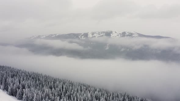 Top view of Winter forest. Clouds covered Spruce and Pine forest in the Mountains alt
