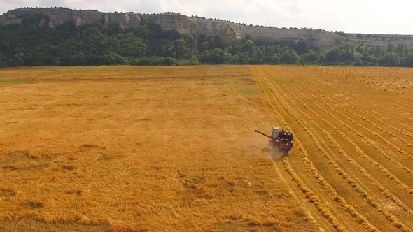 The Combine Processes the Wheat Field Bird's-eye View