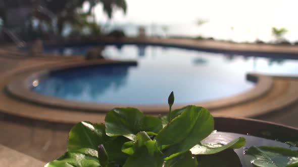 Swimming Pool in Beachfront Tropical Hotel Resort