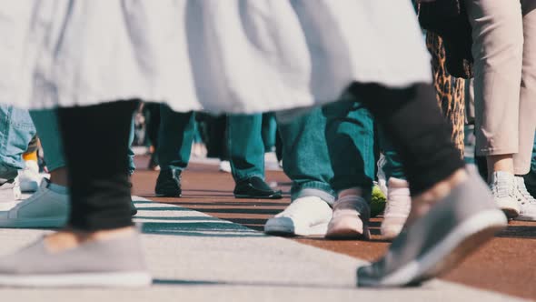 Legs of Crowd People Walking on the Street Closeup of People Feet Slow Motion alt