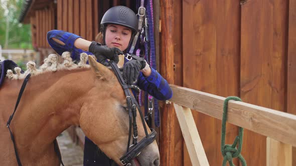 Woman Saddling Up Horse Fixing Its Headstall Getting Ready For 