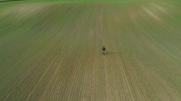 Cyclist Speeds Through the Spring Field