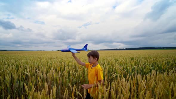 Little boy with toy plane outdoors alt