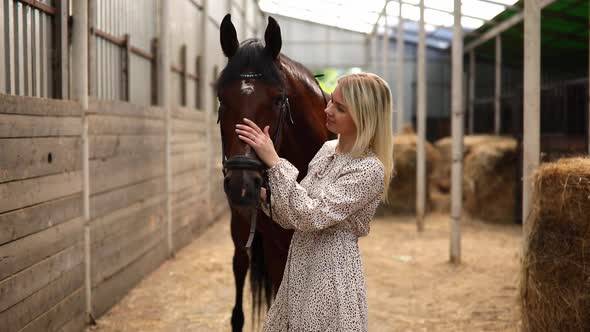 A Young Rider Woman Blonde with Long Hair in a Dress Posing with Brown Horse Inside Light Stable alt