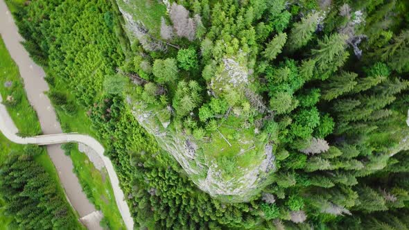 Mountain With Forest Aerial Roll