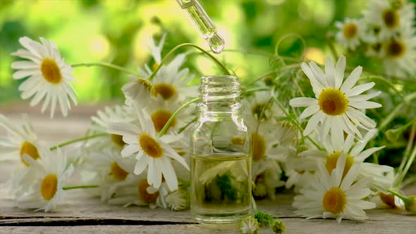 Extract and Tincture of Chamomile in a Small Bottle alt