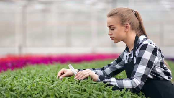 Caring Young Female Agricultural Worker Pouring Organic Plants From Glass Tube Medium Closeup alt