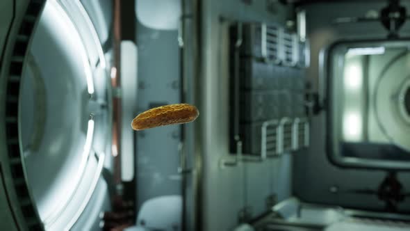 Marinated Pickled Cucumber Floating in Internation Space Station alt
