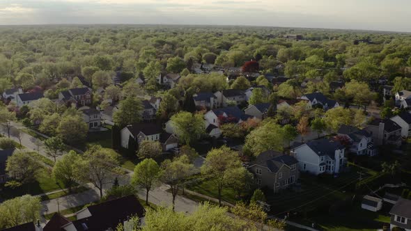 Aerial Drone View of Real Estate in American Suburb at Summer Time alt