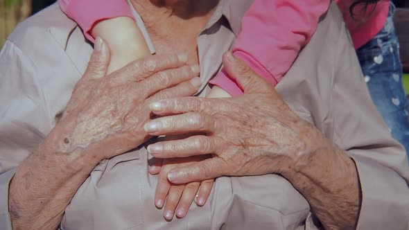 Hands of an Elderly Woman alt