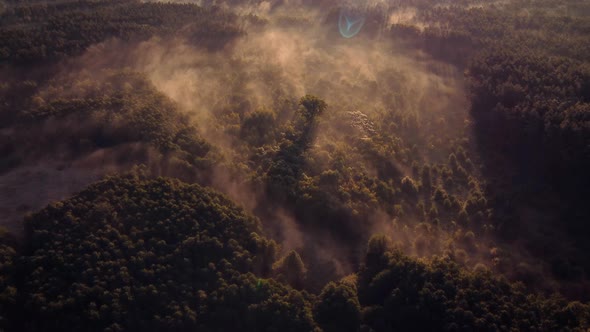 Drone view on the forest with morning fog