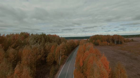 High-speed flight along the road and autumn forest