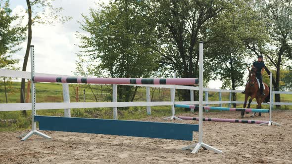 Jockey On Her Bay Horse Jumping Over The Obstacles Pole Knocked By The Horse Leg alt