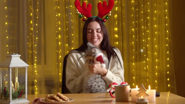 Happy Woman Playing Cat Alone Home During Christmas