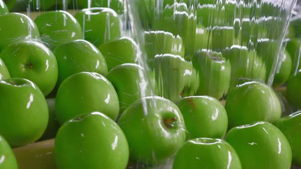 Industrial Farming, Processing and Storage of Apples alt