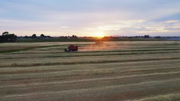 Wheat Fields 