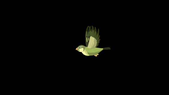 Flying Green wood warber bird long view alpha matte HD
