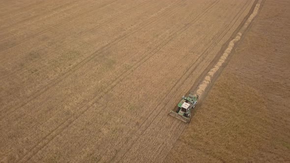 Aerial Drone Shot of a Combine Harvester Working in Autumn