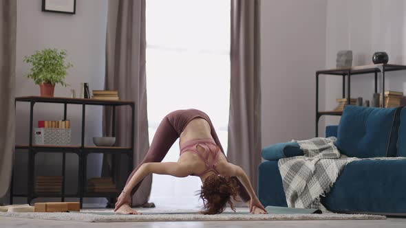 Sporty Lady is Doing Workout at Home at Morning Leaning to Floor and Warming Her Body Sport and alt