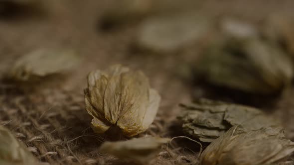 Rotating shot of barley and other beer brewing ingredients alt