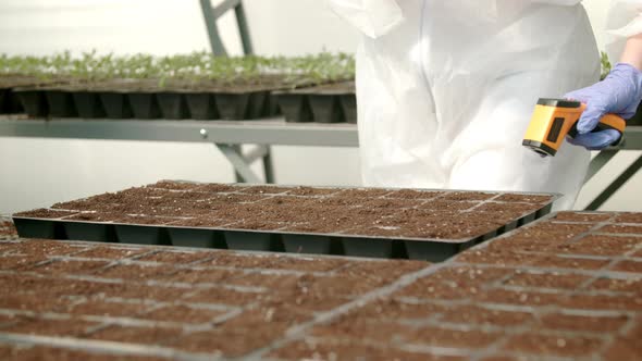 Farmers Planting Seeds in Greenhouse