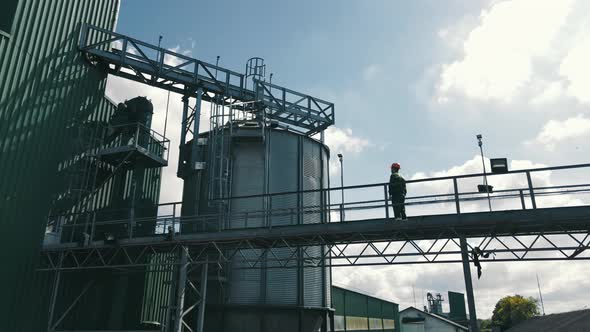 Agronomist Farmer Checking Grain Soybean and Wheat Storage Tanks alt