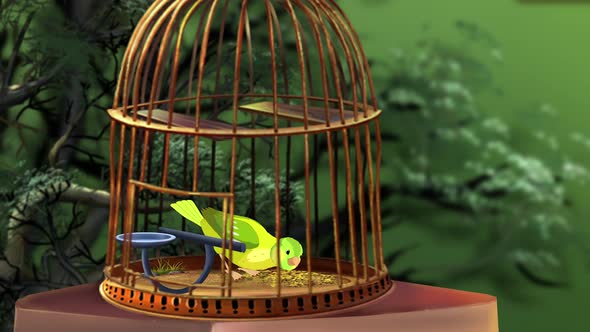 Domestic Green canary in a cage 4K