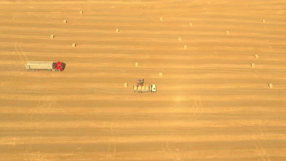 Tractor Loader Loads Hay and