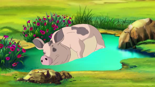 Pink pig sleeping in a puddle 4K