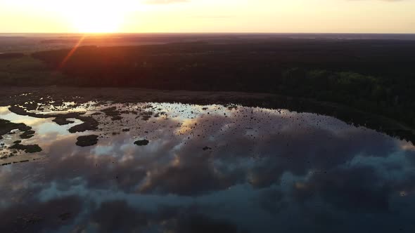 Beautiful Sunset Above the Wild Swamp and Forest