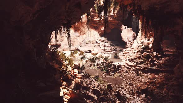 the View Inside Fairy Cave Covered in Self Illuminating Green Plants alt