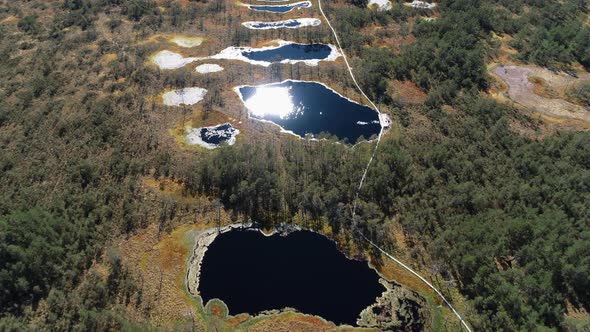 Forest Lakes And Bogs 3