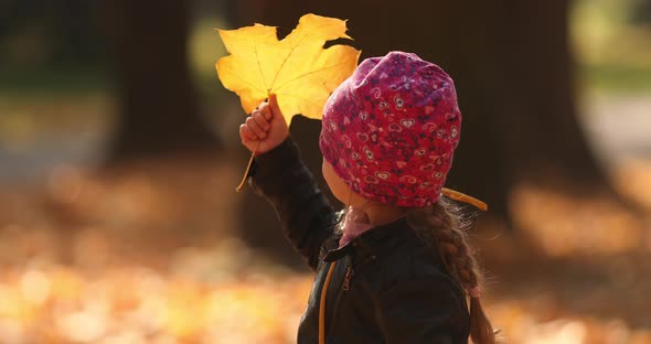 Pretty Little Girl in Black Jacket Looks at the Yellow Leaves and Rejoices in the Autumn Park