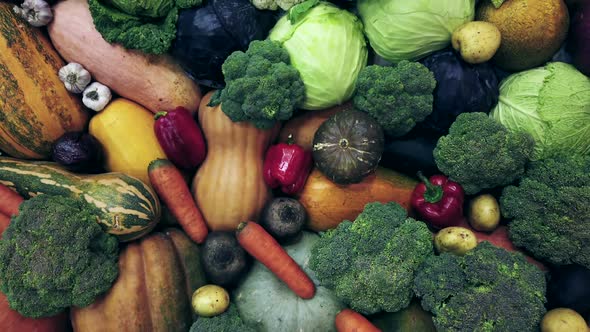 Autumn Harvest of Different Vegetables and Root Crops. Background of Vegetables.