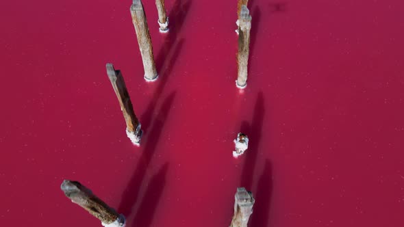 Deposits of Rock Salt in the Pink Lake alt