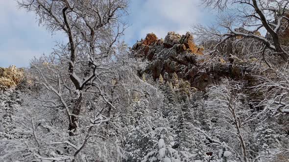 Fresh snow covers the landscape near Boulder Colorado alt