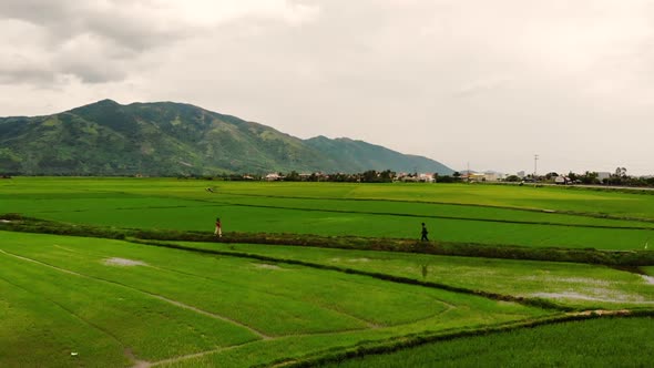 Two people are walking toward each other on the Green Field, Phu Yen, Vietnam alt