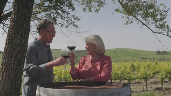 Senior couple drinking wine at vineyard 