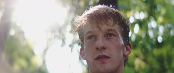 Man looks up at treetops alt