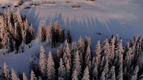 Aerial View of Winter Forest in Mountain Valley at Sunset 