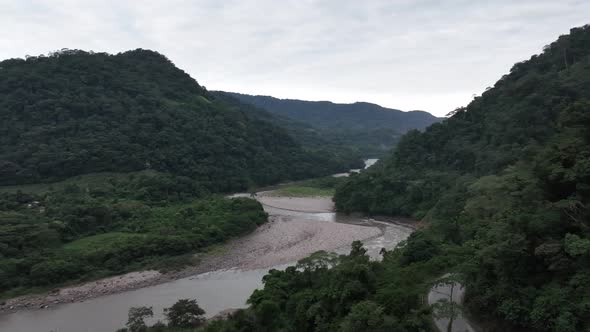 River flowing through a rainforest