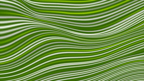 Green White Curved Smooth Wavy Lines