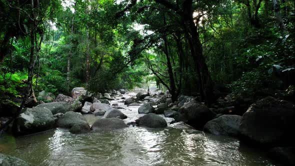 River in a dense tropical rainforest jungle in Ko Samui, Thailand alt