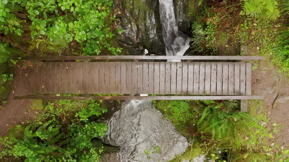 Scenic Wooden Bridge Above Mountain River Creek Top Down Bridge in Rain Forest alt