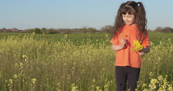 Pick Yellow Flowers in the Country alt
